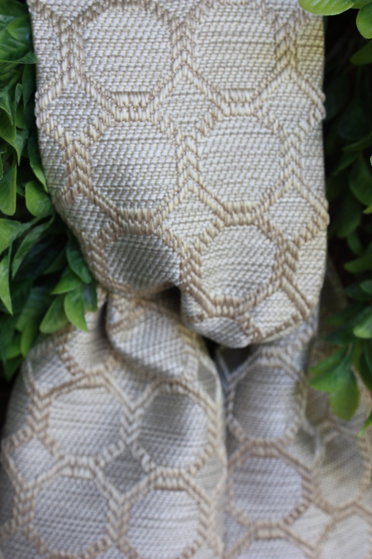 DAX Fawn